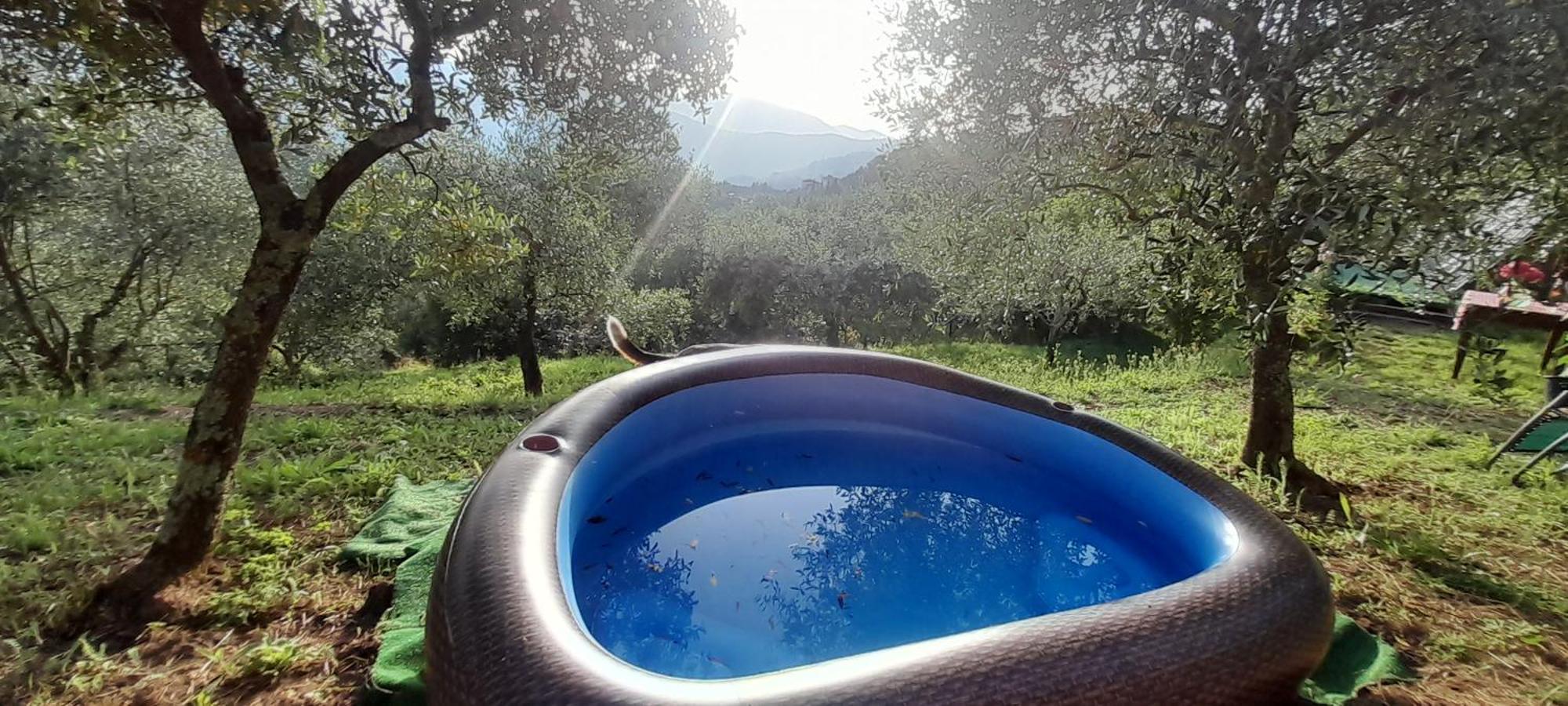 La Fatina Lodge Barga Exteriér fotografie