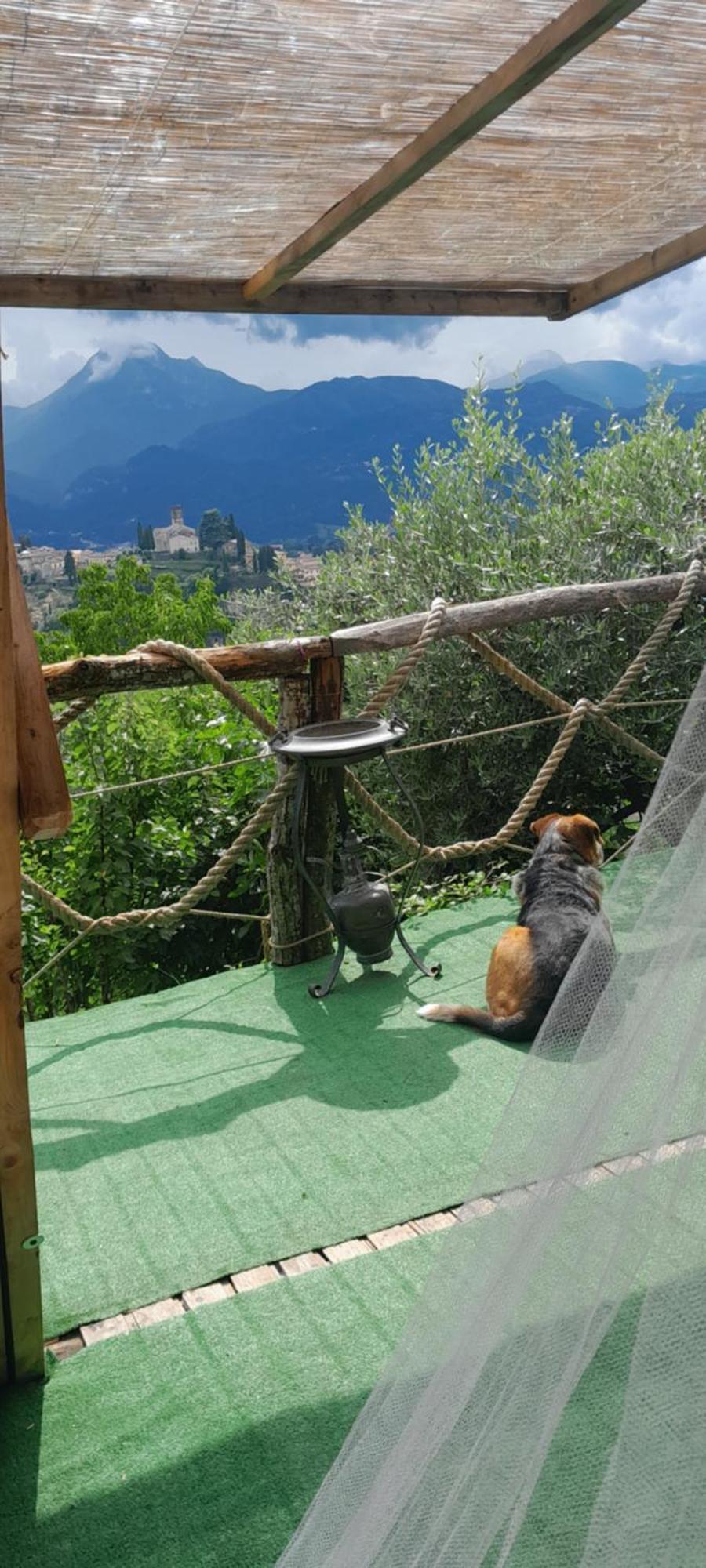 La Fatina Lodge Barga Exteriér fotografie